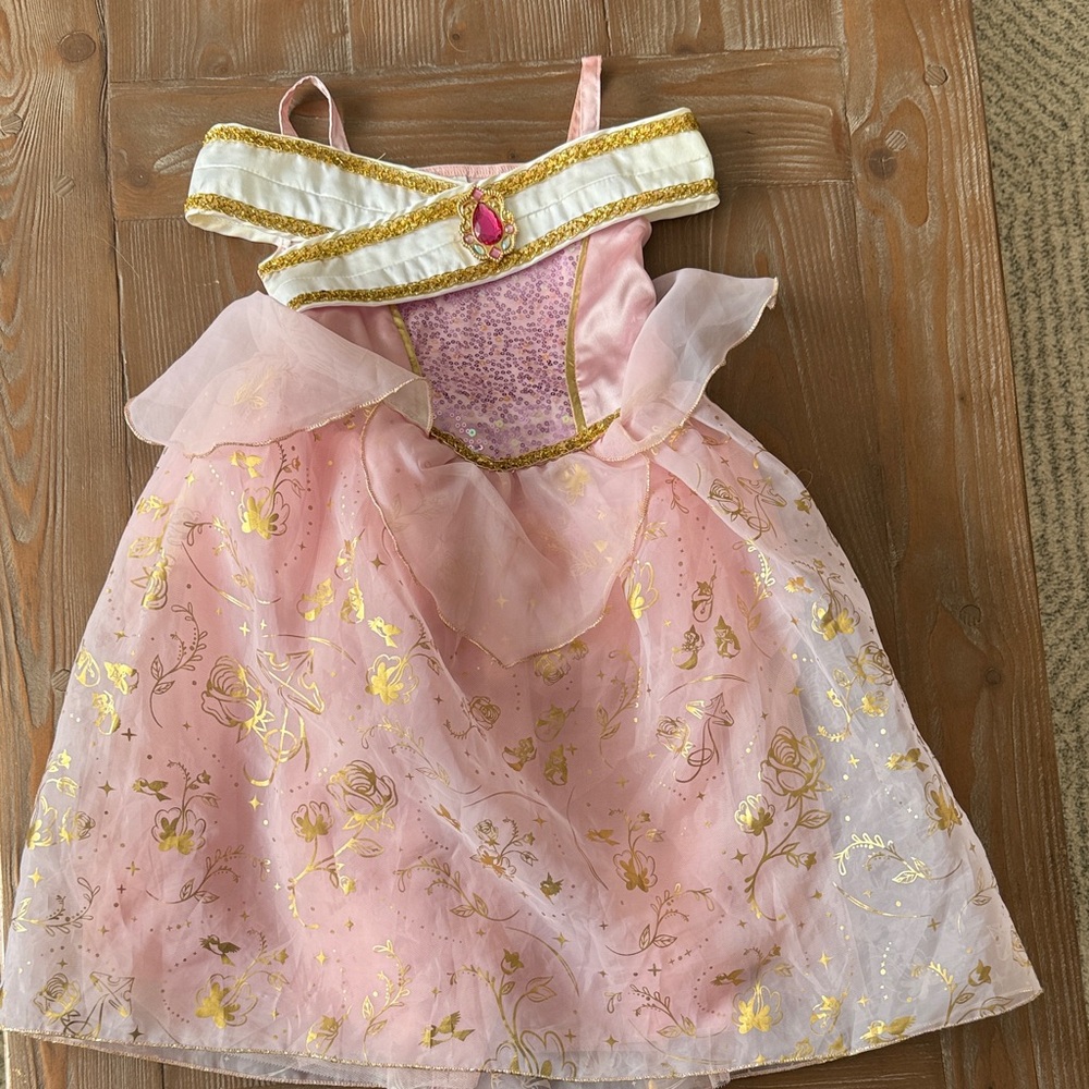 Disney Parks Princess Aurora Dress from WDW Florida